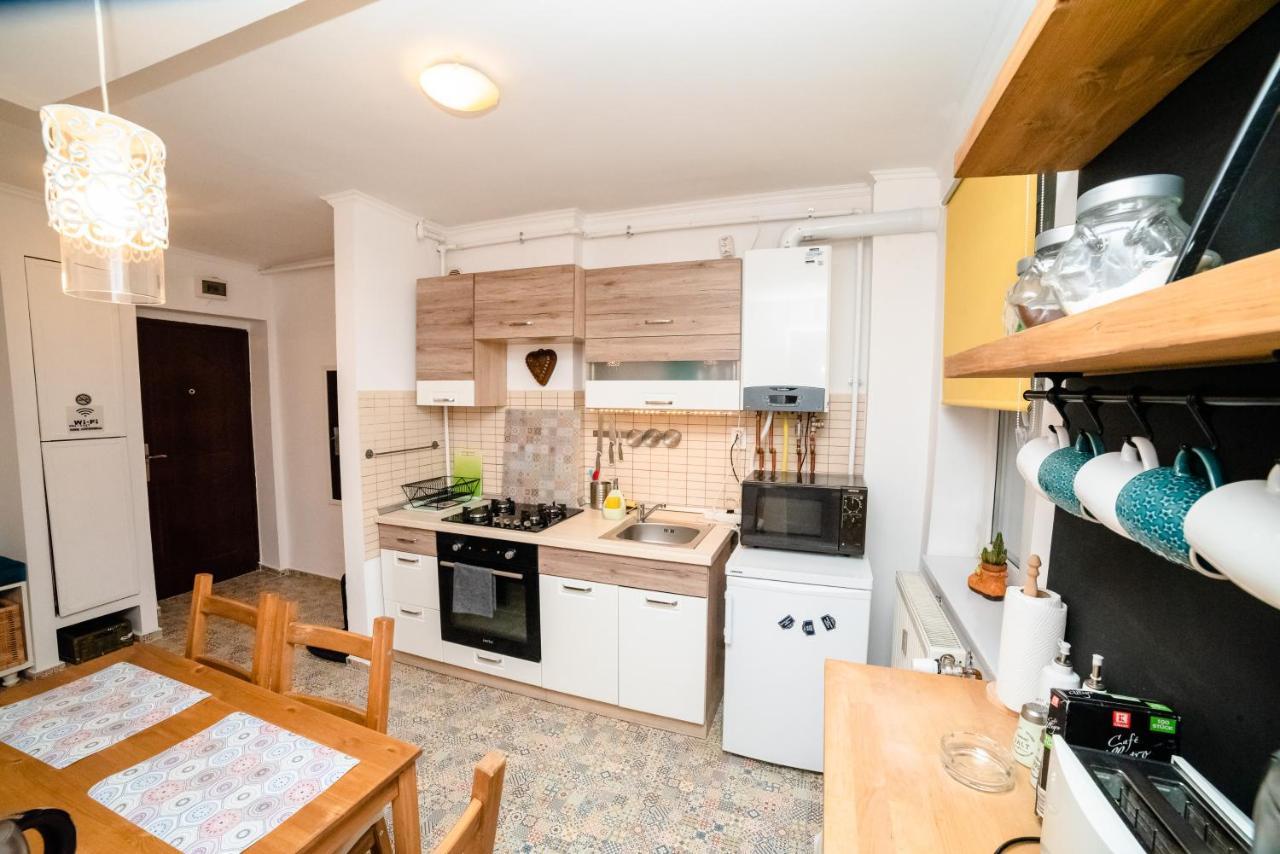Blue Apartment Timișoara Zewnętrze zdjęcie